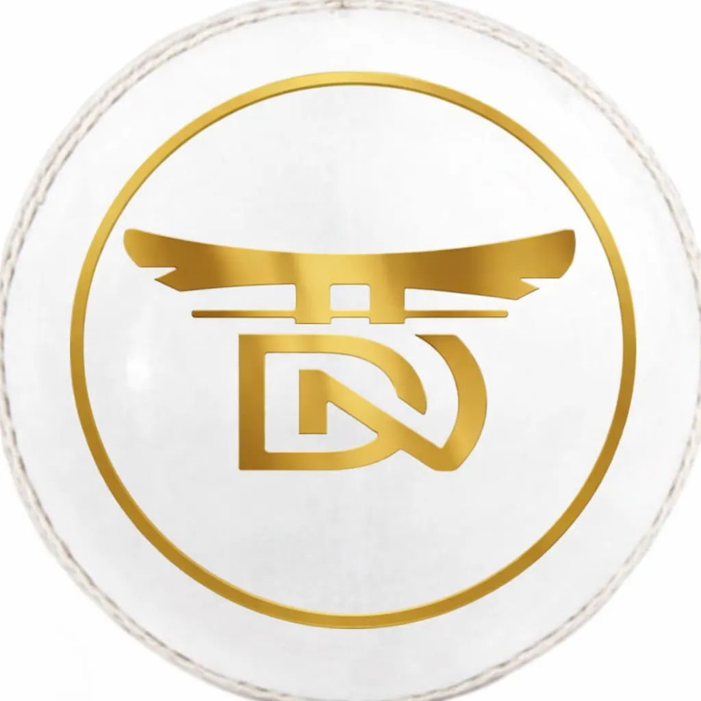 White leather ball T 20. DN Sports genuine leather ball with dn sports branding, 4 piece texture, (1 piece).