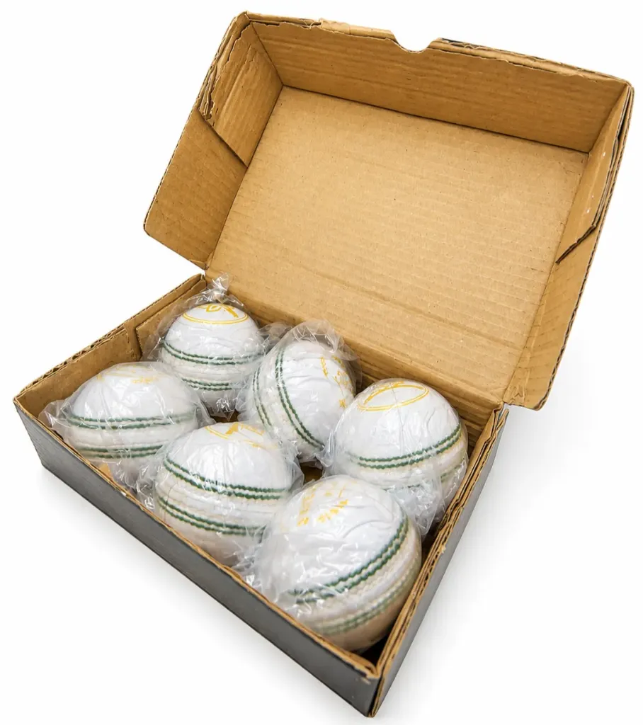 DN Sports white leather T-20 ball (pack of 6).