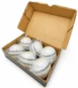 DN Sports white leather T-20 ball (pack of 6).